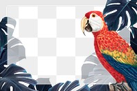 Scarlet macaw bird monstera leaf frame png