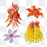 Flower stickers png floral cut out set