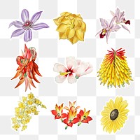 Flowers illustrated png cut out sticker