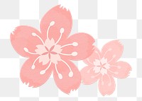 Png cherry blossom pink sakura flowers