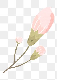 Png pink spring flower design element