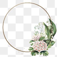 Png frame in gold with flower decorations