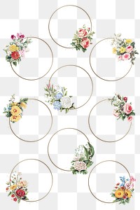 Png frames in gold with vintage flower decorations