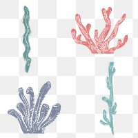 PNG coral linocut cute design elements set