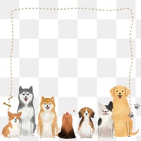 Png frame with cute dogs and cat on transparent background