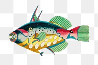 Vintage fish png sticker, aquatic animal colorful illustration, remix from the artwork of Louis Renard