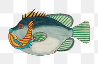 Vintage fish png sticker, aquatic animal surreal illustration, remix from the artwork of Louis Renard