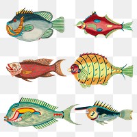 Vintage fish png sticker, colorful animal illustration, remix from the artwork of Louis Renard set