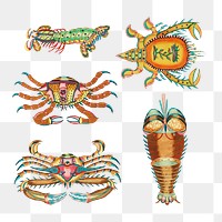 Ancient aquatic animal png sticker, vintage illustration, remix from the artwork of Louis Renard set