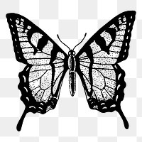 Butterfly png sticker, vintage insect illustration, transparent background. Free public domain CC0 image.