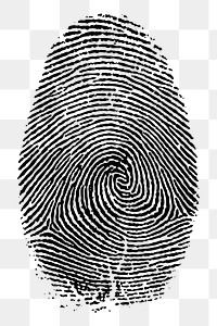 Fingerprint png sticker, vintage illustration, transparent background. Free public domain CC0 image.