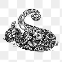 Rattlesnake png sticker, vintage animal illustration, transparent background. Free public domain CC0 image.