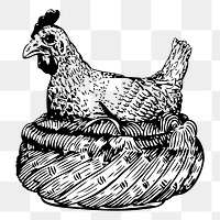 Chicken png sticker, vintage animal illustration, transparent background. Free public domain CC0 image.