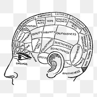 Phrenology chart png sticker, vintage neurology illustration, transparent background. Free public domain CC0 image.