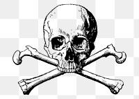 Human skull png sticker, vintage illustration, transparent background. Free public domain CC0 image.