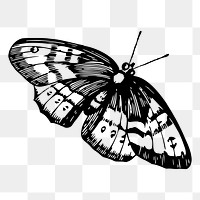 Butterfly png sticker, vintage insect illustration, transparent background. Free public domain CC0 image.