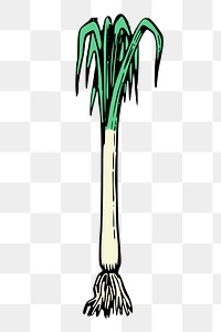 Spring onion png sticker, vintage vegetable illustration, transparent background. Free public domain CC0 image.