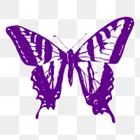 Purple butterfly png sticker, vintage insect illustration, transparent background. Free public domain CC0 image.