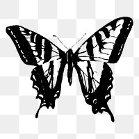 Butterfly png sticker, vintage insect illustration, transparent background. Free public domain CC0 image.
