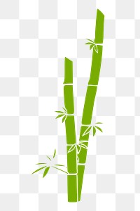 Bamboo tree png sticker, botanical illustration on transparent background. 