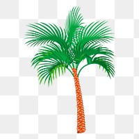 Coconut tree png sticker, tropical plant illustration, transparent background. Free public domain CC0 image.