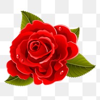 Red rose png sticker, valentine's day illustration, transparent background. Free public domain CC0 image.