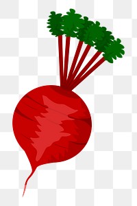 Beetroot png sticker, vegetable illustration, transparent background. Free public domain CC0 image.