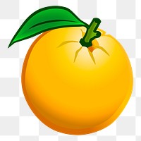 Orange png sticker, fruit illustration, transparent background. Free public domain CC0 image.