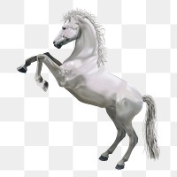 Rearing horse png sticker, animal illustration, transparent background. Free public domain CC0 image.