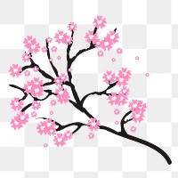 Cherry blossom png flower  sticker, botanical illustration, transparent background. Free public domain CC0 image.