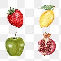 Fruits illustration png organic food hand drawn mixed