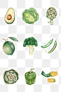 Green vegetables illustration png organic collection