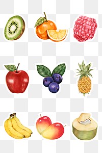 Fruits illustration png organic food hand drawn set