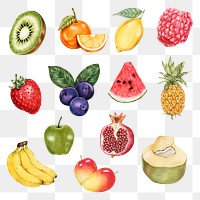 Fruits illustration png organic food hand drawn collection