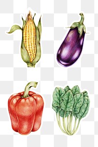Fresh vegetables png illustration sticker set