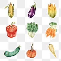 Organic vegetables illustration png raw food sticker set