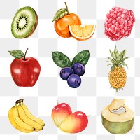 Fresh fruits illustration png food drawing collection