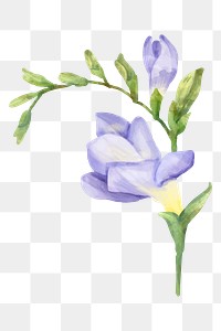 Purple flower sticker png hand drawn watercolor