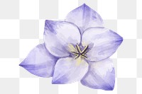 Blooming flower sticker png watercolor drawing