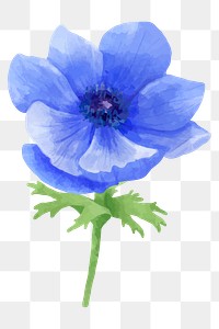 Blooming blue flower sticker png watercolor drawing