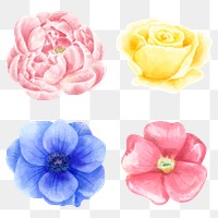 Painting flowers png sticker watercolor clipart set