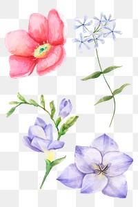 Colorful flowers sticker png hand drawn collection