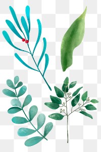 Green leaves sticker png watercolor illustration collection