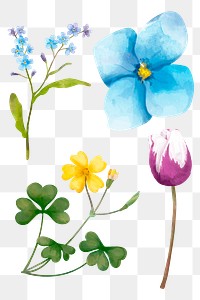 Colorful flowers sticker png hand drawn collection