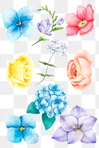 Blooming flowers png sticker botanical collection