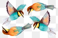 Bee eater bird sticker png illustration set