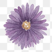 Purple aster flower transparent png watercolor sticker