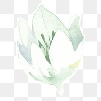 White flower transparent png watercolor sticker
