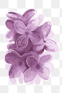 Purple lilac flower transparent png watercolor sticker