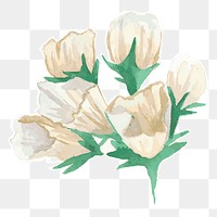 Classic flower transparent png watercolor sticker